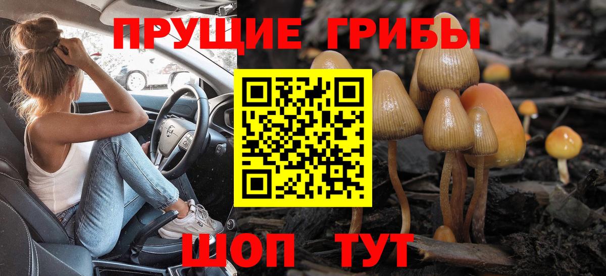 Галлюциногенные грибы Psilocybine cubensis  Вход с VPN  Отрадное  Псилоцибиновые грибы Psilocybine cubensis 