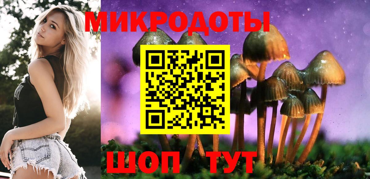 Псилоцибиновые грибы прущие грибы Отрадное